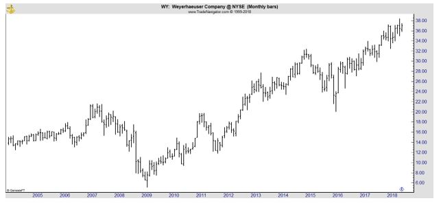 WY monthly chart