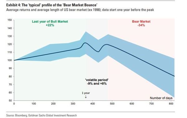bear market bounce profile
