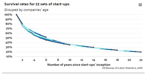 survival rates for start-ups